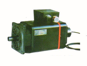 伺服電機(jī)